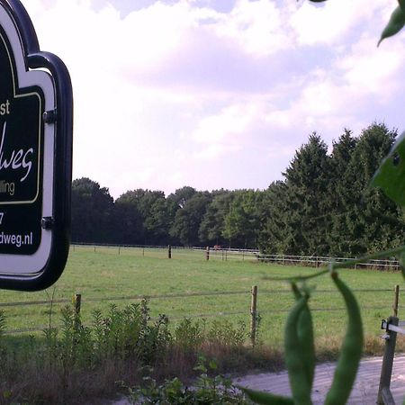 Vakantiehuis "Aan De Zandweg" Roderesch Екстериор снимка