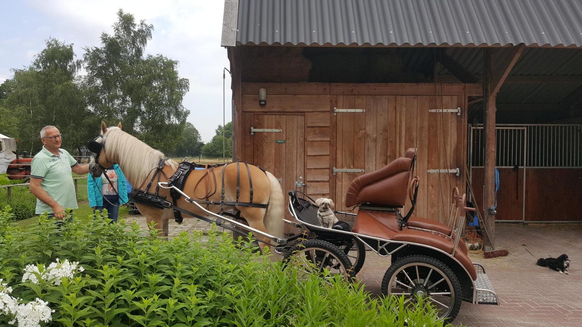 Vakantiehuis "Aan De Zandweg" Roderesch Екстериор снимка