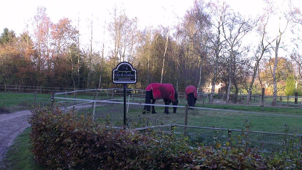 Vakantiehuis "Aan De Zandweg" Roderesch Стая снимка